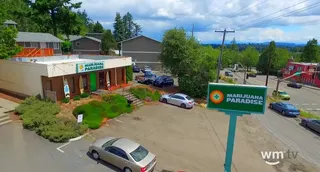 Marijuana Paradise