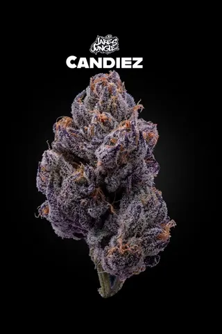 Medical Man Wellness Dispensary