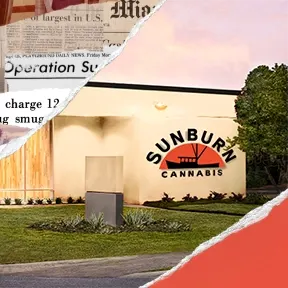 Sunburn Cannabis - Tallahassee