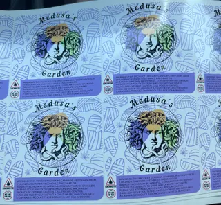 Medusa's Garden
