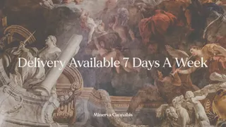 Minerva Cannabis - Toronto