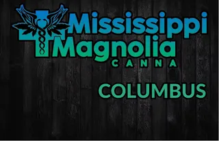 Mississippi Magnolia Canna - Columbus