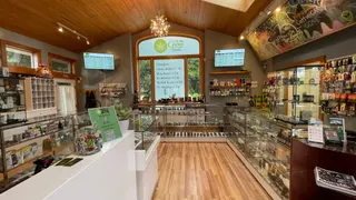 Mo Beta Green Cannabis