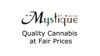 HighNorth Mystique of Maine - Auburn
