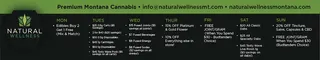 Natural Wellness - Lyndale Helena