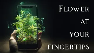 Nature's Herbs & Wellness-Log Lane Village