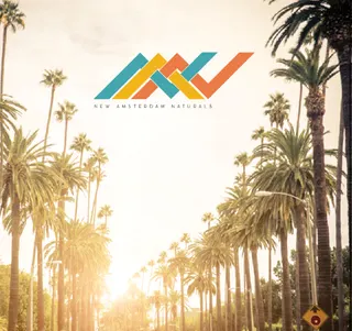 New Amsterdam Naturals Pre-ICO