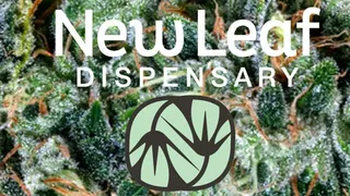 New Leaf Dispensary & Onsite Consumption Space
