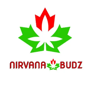 Nirvana Budz - Stoney Creek