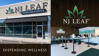 NJ Leaf - Brunswick