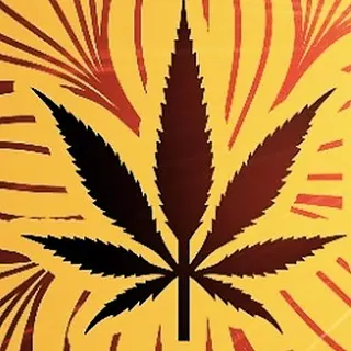 No Worries Dispensary
