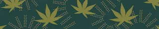 Noa Botanicals - Aiea