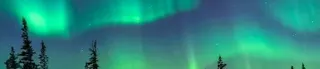 Northern Lights Indoor Gardens
