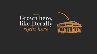 Northern Native Cannabis Company