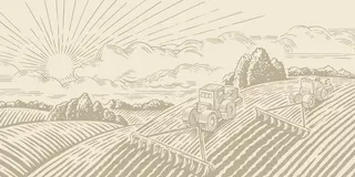 Nova Farms - New Britain