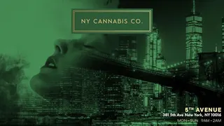 Ny Cannabis Co -381 5th Ave
