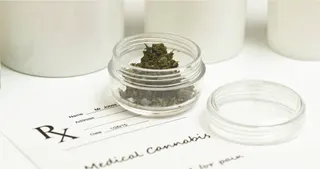 Oasis Medical Cannabis - Delivery