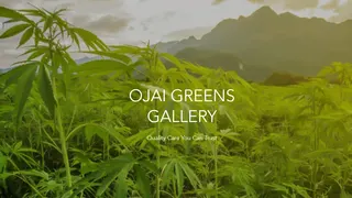 Ojai Greens