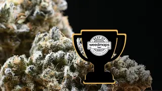 Okie OG Cannabis
