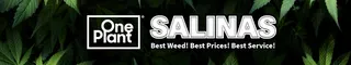 One Plant - Salinas