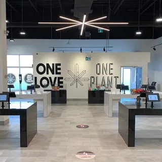 One Plant - Bradford