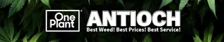 One Plant - Antioch