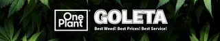 One Plant - Goleta