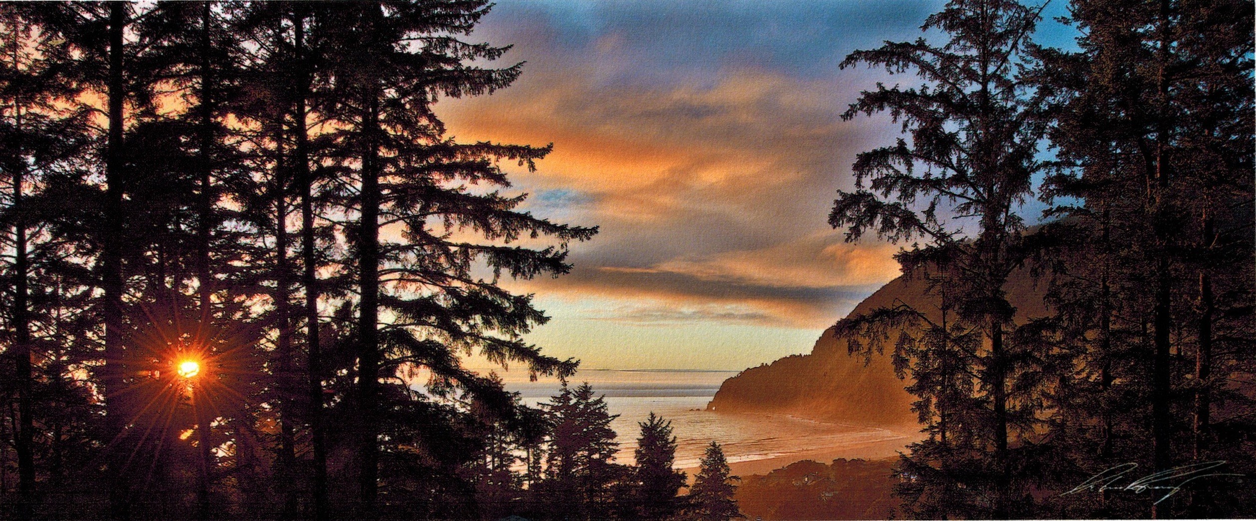 Oregon Coast Cannabis