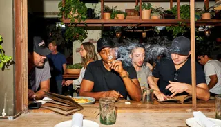 Original Cannabis Cafe