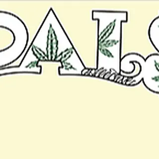 Pals Collective