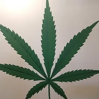 Patients Other Treatment