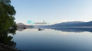 PH Cannabis Co