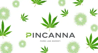 Pincanna - East Lansing