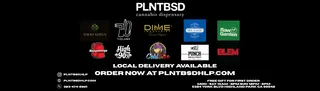 PLNTBSD
