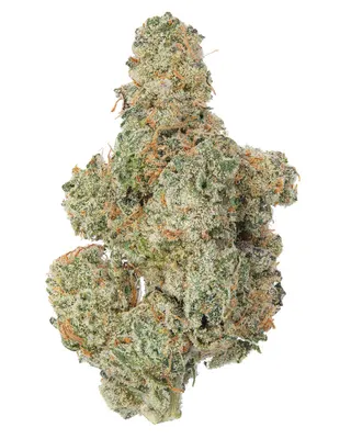 Plug Smoke Shop & Dispensary - Brevard