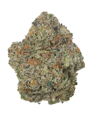 Plug Smoke Shop & Dispensary - Candler