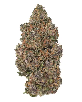 Plug Smoke Shop & Dispensary - Hendersonville
