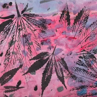 Prairie Rose Dispensary