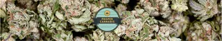 Proper Cannabis of Norman
