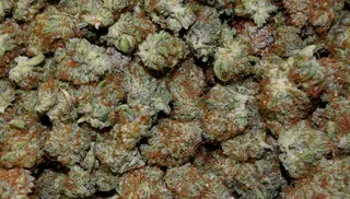 Pure Green (Temporarily