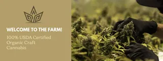 PureRoots Botanicals