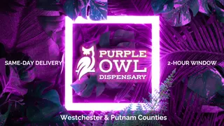 The Purple Owl