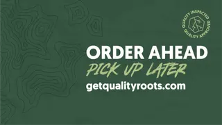 Quality Roots - Ypsilanti