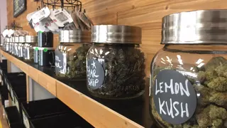 Quick Stop Cannabis