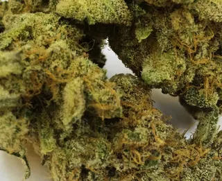 Rare Earth Organics
