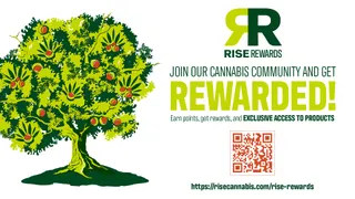 RISE Dispensaries Lorain