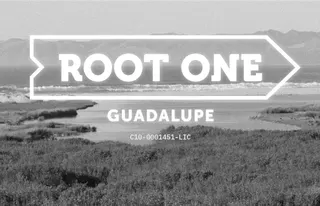 Root One - Guadalupe