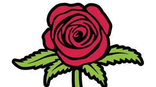 Rosebuds