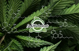 SA Botanicals - St. Mary's