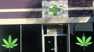 Sacred Buds